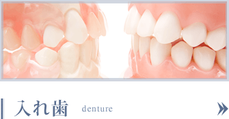 入れ歯 denture